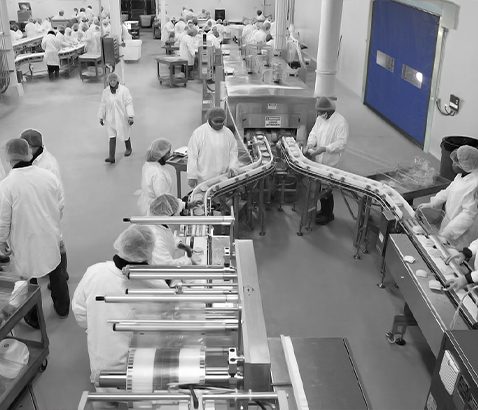 Porta Rápida AL01 - Allseg Soluções Industriais